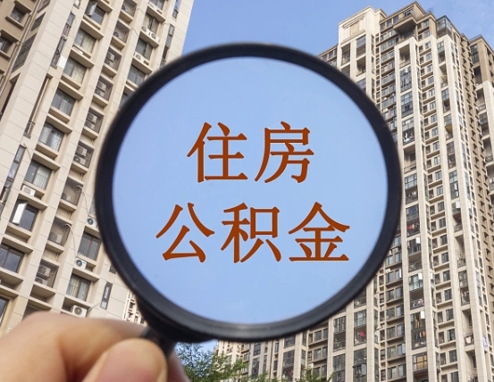 博罗离职公积金怎么取用（离职公积金提取手续流程）